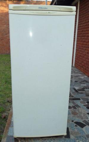 Freezer Electrolux F170