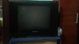 Cambio televisor por una biscicleta familiar