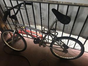 Bicicleta Gris 1