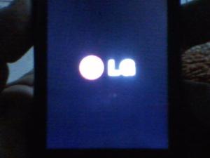 CELULAR LG A REVISAR