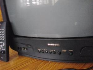 VENDO TELEVISOR SAMSUNG 21 PULKG. EN EXCELENTE ESTADO POCO