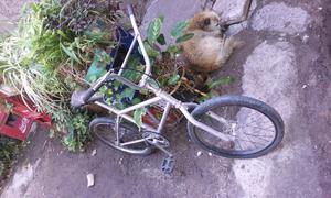 Bicicleta para joven