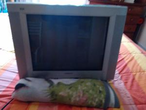 Vendo televisor 21 pulgadas