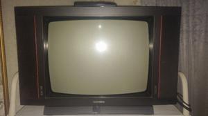 Vendo TV de 20" Telefunnken X Zanellita o 110!!