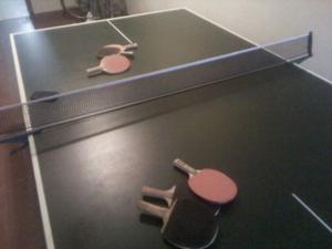 mesa de ping pong reglamentaria y plegable