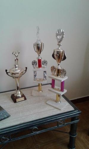 trofeos deportivos fisicoculturismo