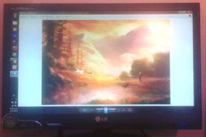 Monitor Lg 19"