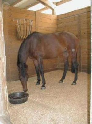 15kg Pellets De Pino Para Cama De Caballos