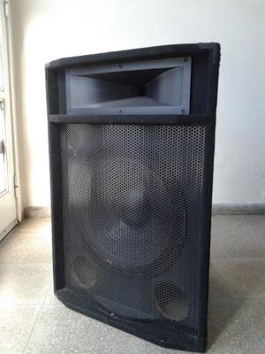 Bafle Trapezoidal 15pulg 200w RMS (el par)