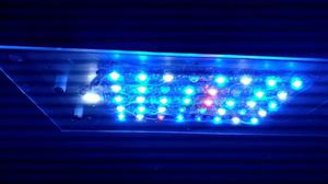 Leds