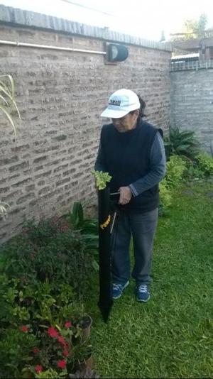 Trasplantadora de plantines hortalizas. Bastón de Siembra