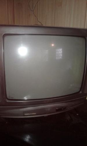 Televisor 21' color