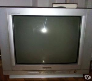 TELEVISOR CON CONTROL REMOTO