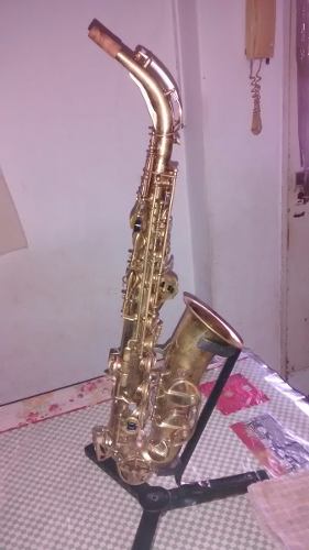 Saxo Alto Parrot