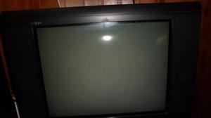 televisor sanyo vizon 21"