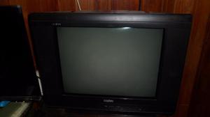 televisor sanyo vizon 21"