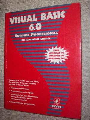 Libro Visual Basic 6.0 Edición Profesional - Villa