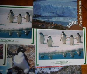 Postales Argentinas de Patagonia y Salta - Recientes - Venta