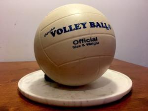 Pelota De Volley Ball Oficial