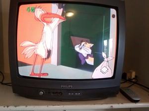 Televisor Philips 21"