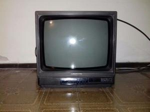 Televisor 21 Pulgadas Grundig sin Control Remoto