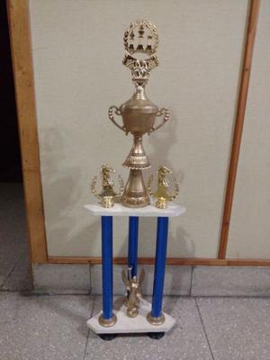 trofeo de ajedrez de 71 cm de alto