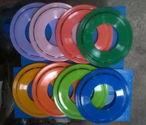 Frisbee Plastico Pro!