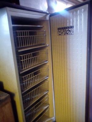 Freezer con estantes