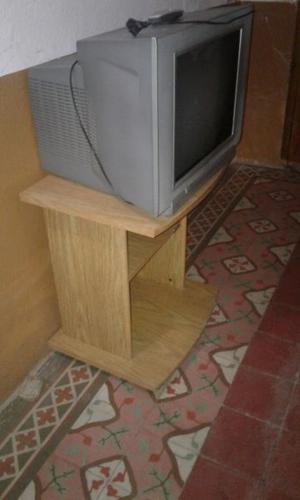 VENDO TV PHILIPS 21" PANTALLA PLANA CON MESA