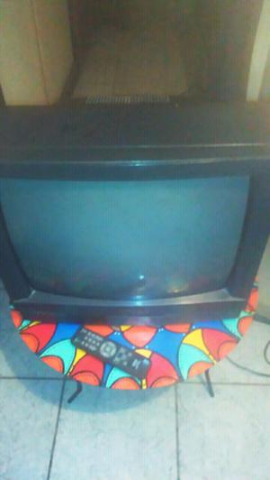 Televisor con control