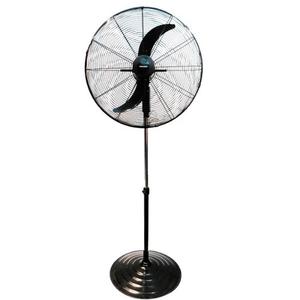 Ventilador Industrial De Pie 30p 250w 1,7m Ken Brown Kb-