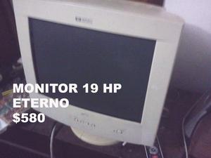 Monitor HP 19"