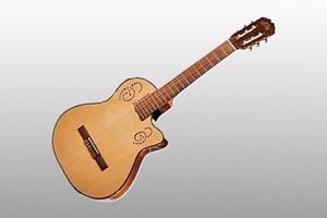 Guitarra Electrocriolla La Alpujarra 300 Kec.