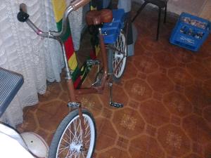 Ven bici aurorita
