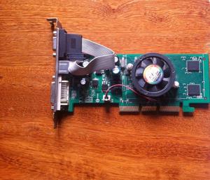 Nvidia Geforce  Agp8x 256mb Ddr2 Tv Out Dvi Vga