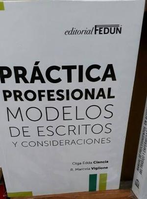 Práctica Profesional Modelos De Escritos Y Consideraciones.