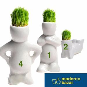 Hombre Planta Lopito Crece Pasto En La Cabeza! Modernobazar