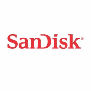 Memoria Sandisk 16gb Clase 10 - Ximaro - Tucuman