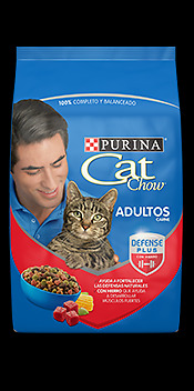 Alimento Balanceado Para Gatos Cat Chow Ocean / Country 15kg