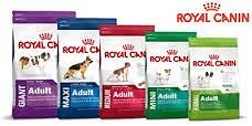 Alimento Balanceado Royal Canin Mini Junior X 7.5kg