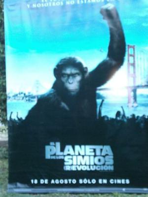 Excelente Banner Original De Cine - El Planeta De Los Simios