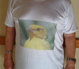 JILGUERISTAS !!!! REMERA
