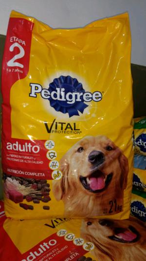 Pedrigee adulto 21kg