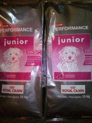 Royal Canin Club Perfermance junior 15 kg