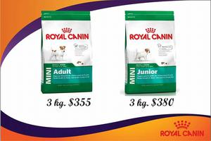 Royal Canin Mini Adulto y Mini Junior