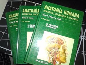 anatomia humana Rouviere -Delmas