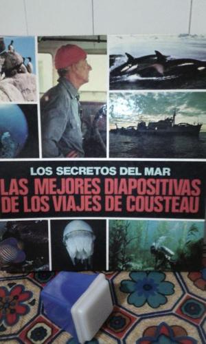Diapositivas Los Secretos Del Mar Jacques Cousteau
