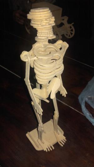 Esqueleto de Fibrofacil