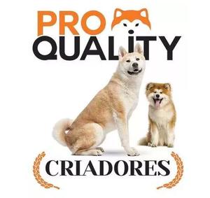 Alimento para perros adultos Pro Quality Criadores