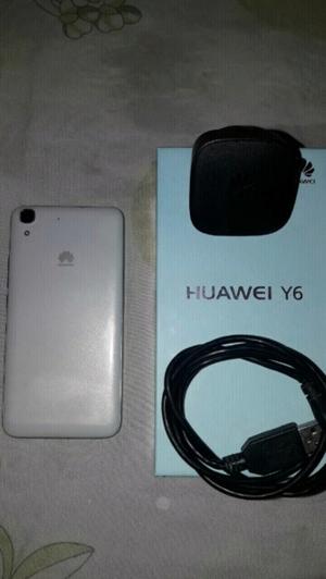 Huawei y 6